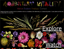 Tablet Screenshot of momentaryvitality.ca